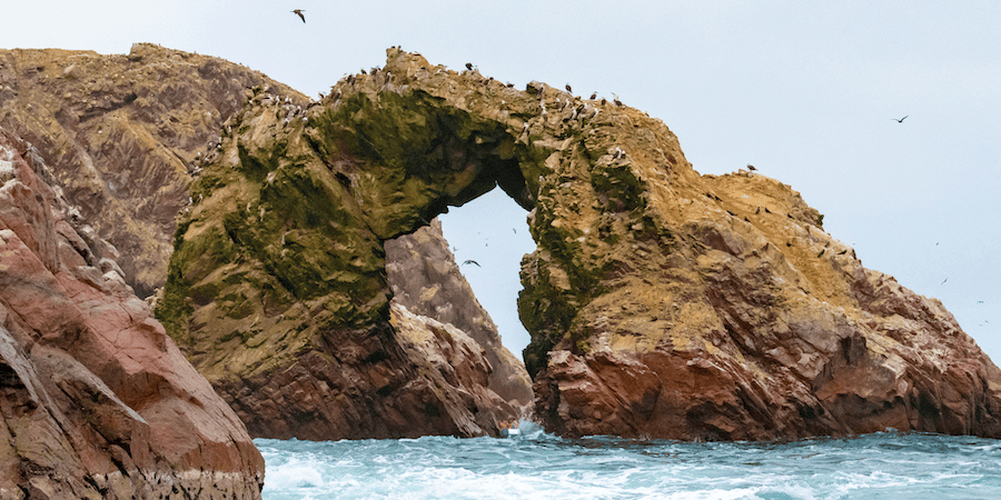 https://atoqhoteles.com/wp-content/uploads/2025/09/atoq-hoteles-blog-islas-ballestas-setiembre-paracas-reserva-articulo-3.png
