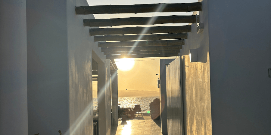 https://atoqhoteles.com/wp-content/uploads/2025/10/atoq-hoteles-blog-paracas-ano-nuevo-octubre-paracas-articulo-1.png