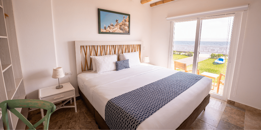 https://atoqhoteles.com/wp-content/uploads/2026/07/atoq-hoteles-blog-paracas-julio-invierno-articulo-1.png
