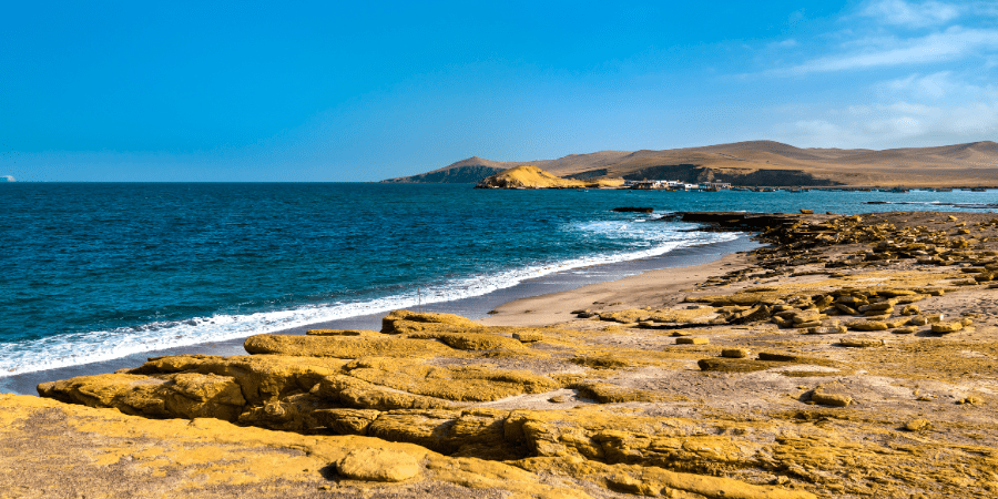 https://atoqhoteles.com/wp-content/uploads/2026/07/atoq-hoteles-blog-paracas-junio-planes-maximo-articulo-2.png