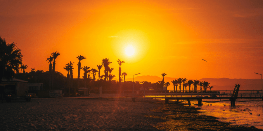 https://atoqhoteles.com/wp-content/uploads/2026/07/atoq-hoteles-blog-paracas-junio-planes-maximo-articulo-4.png
