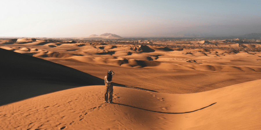 https://atoqhoteles.com/wp-content/uploads/2026/07/atoq-hoteles-blog-paracas-junio-planes-maximo-articulo-5.png