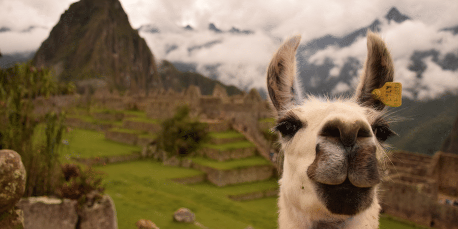 https://atoqhoteles.com/wp-content/uploads/2026/10/atoq-hoteles-blog-san-blas-octubre-machu-picchu-2.png